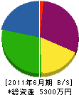 本澤建設 貸借対照表 2011年6月期