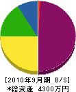 イカリ電気 貸借対照表 2010年9月期