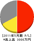 島田 損益計算書 2011年5月期