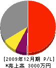大塚電気工事 損益計算書 2009年12月期