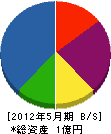 志村工務所 貸借対照表 2012年5月期
