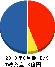 原庄組 貸借対照表 2010年6月期