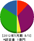 石川鑿泉工業所 貸借対照表 2012年5月期