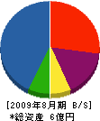 田崎製作所 貸借対照表 2009年8月期