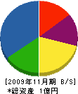 伊藤電機 貸借対照表 2009年11月期