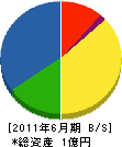 横山園芸 貸借対照表 2011年6月期