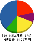 川辺 貸借対照表 2010年2月期