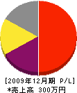 佐賀住建 損益計算書 2009年12月期