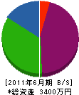 松本電工 貸借対照表 2011年6月期