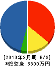 嶋村商店 貸借対照表 2010年3月期