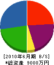 大和田建設 貸借対照表 2010年6月期