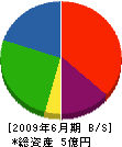 日本建材商会 貸借対照表 2009年6月期