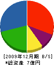 ミキホーム 貸借対照表 2009年12月期