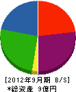 長崎塗装店 貸借対照表 2012年9月期