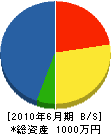 双葉ＴＫ 貸借対照表 2010年6月期