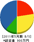 富士建設 貸借対照表 2011年5月期