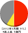 沖縄神洋ペイント 損益計算書 2012年3月期