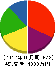 タカハシ幸平 貸借対照表 2012年10月期