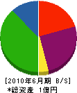 関西ライン 貸借対照表 2010年6月期