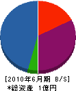 芳賀総合システム 貸借対照表 2010年6月期