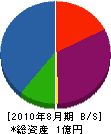 細田建設 貸借対照表 2010年8月期