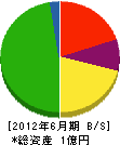 松本海事工業 貸借対照表 2012年6月期