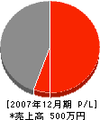 松本建設 損益計算書 2007年12月期