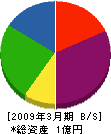 宮崎商店 貸借対照表 2009年3月期