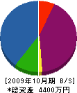 横須賀電機 貸借対照表 2009年10月期