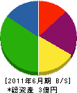 桐澤建設 貸借対照表 2011年6月期