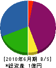 サカキ 貸借対照表 2010年6月期