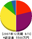 システィムアシスト 貸借対照表 2007年12月期