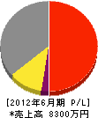 渡辺工業 損益計算書 2012年6月期