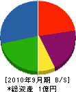 タイセイ商事 貸借対照表 2010年9月期