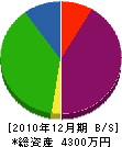 おかもと工業所 貸借対照表 2010年12月期