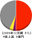 共成 損益計算書 2009年12月期