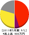 山田塗装店 損益計算書 2011年5月期