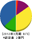 藤下電気商会 貸借対照表 2012年3月期