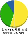 永電社 貸借対照表 2009年12月期