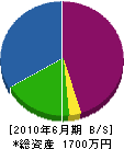 岡田緑地 貸借対照表 2010年6月期