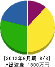 川崎建設 貸借対照表 2012年6月期