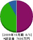 坂根建設 貸借対照表 2009年10月期