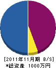 藤井畳 貸借対照表 2011年11月期