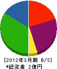 丸伸インダストリ 貸借対照表 2012年3月期