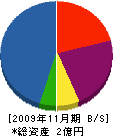 浅野製作所 貸借対照表 2009年11月期