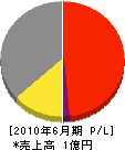 福井窯業 損益計算書 2010年6月期