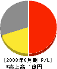 堀口電光社 損益計算書 2008年8月期