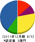 西田亀 貸借対照表 2011年12月期