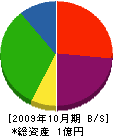 三興総業 貸借対照表 2009年10月期 三興総業 貸借対照表 2009年10月期