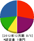 小坂建設 貸借対照表 2012年12月期
